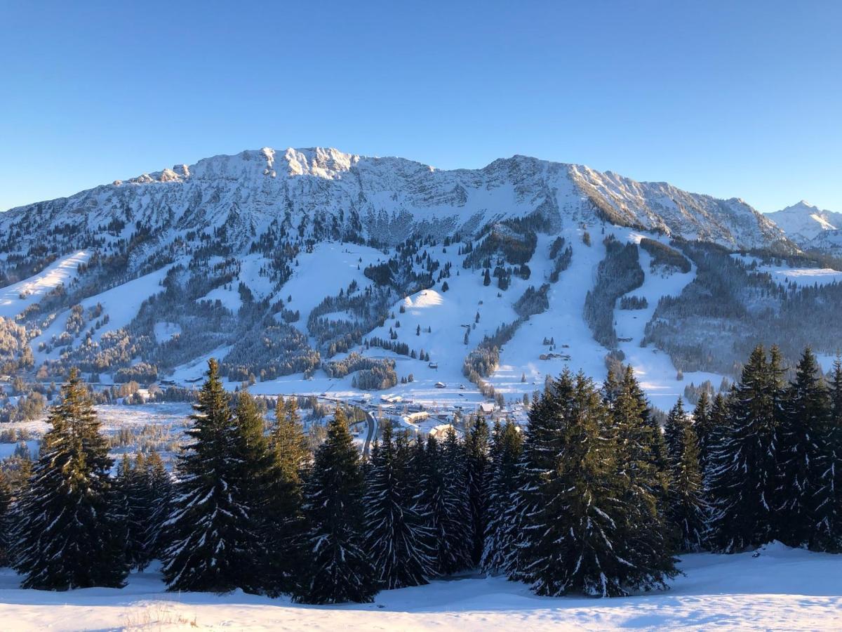 Mountain Lodge Oberjoch, Bad Hindelang - Moderne Premium Wellness Apartments Im Ski- Und Wandergebiet Allgau Auf 1200M, Family Owned, 2 Apartments Mit Privat Sauna Buitenkant foto